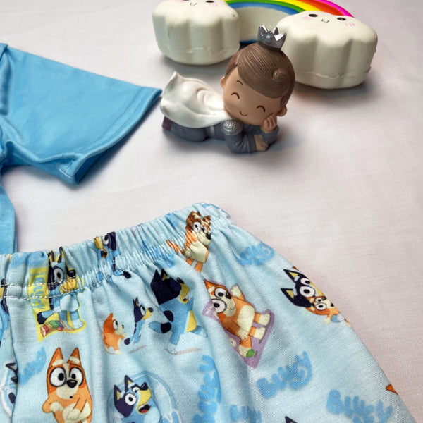 Bluey's Family T Shirt And Shorts Set
