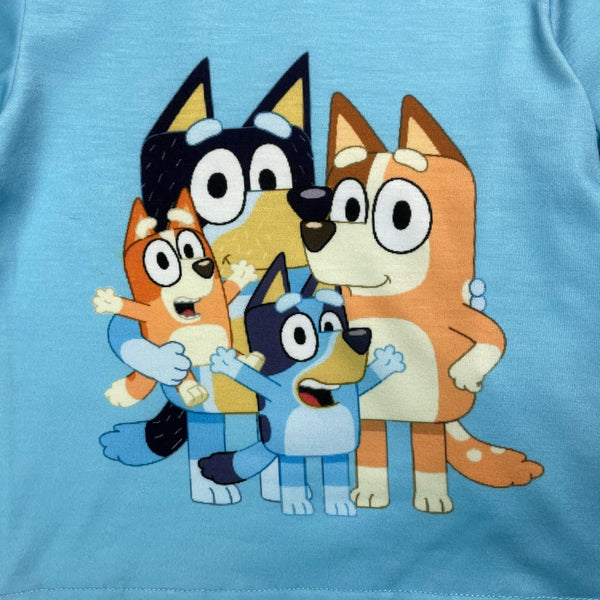 Bluey's Family T Shirt And Shorts Set